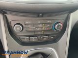 Ford C-MAX bei Sportwagen.expert - Abbildung (11 / 15)