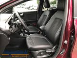 Ford Puma bei Sportwagen.expert - Abbildung (9 / 15)