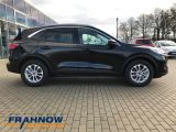 Ford Kuga bei Sportwagen.expert - Abbildung (3 / 15)