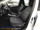 Ford Kuga bei Sportwagen.expert - Abbildung (9 / 15)