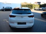 Opel Grandland X bei Sportwagen.expert - Abbildung (5 / 15)