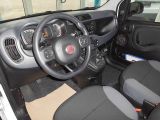 Fiat Panda bei Sportwagen.expert - Abbildung (7 / 10)