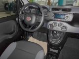 Fiat Panda bei Sportwagen.expert - Abbildung (6 / 10)