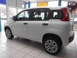 Fiat Panda bei Sportwagen.expert - Abbildung (3 / 10)