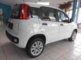 Fiat Panda bei Sportwagen.expert - Abbildung (4 / 10)