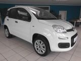 Fiat Panda bei Sportwagen.expert - Abbildung (2 / 10)