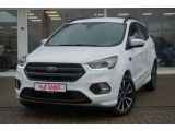 Ford Kuga bei Sportwagen.expert - Abbildung (2 / 15)