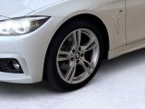 BMW 4er bei Sportwagen.expert - Abbildung (6 / 15)