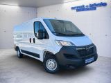 Opel Movano bei Sportwagen.expert - Abbildung (3 / 15)