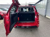 Ford EcoSport bei Sportwagen.expert - Abbildung (13 / 15)