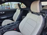 Ford Mustang bei Sportwagen.expert - Abbildung (13 / 15)