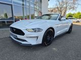 Ford Mustang bei Sportwagen.expert - Abbildung (7 / 15)