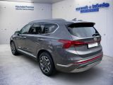 Hyundai Santa Fe bei Sportwagen.expert - Abbildung (4 / 15)