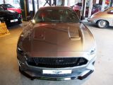 Ford Mustang bei Sportwagen.expert - Abbildung (2 / 15)