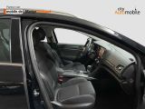 Renault Megane bei Sportwagen.expert - Abbildung (15 / 15)