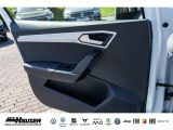 Seat Ibiza bei Sportwagen.expert - Abbildung (14 / 15)