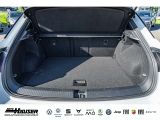 VW T-Roc bei Sportwagen.expert - Abbildung (7 / 15)