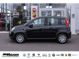 Fiat Panda bei Sportwagen.expert - Abbildung (2 / 9)