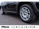 Fiat Panda bei Sportwagen.expert - Abbildung (5 / 9)