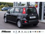 Fiat Panda bei Sportwagen.expert - Abbildung (3 / 9)