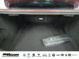 Alfa Romeo Giulia bei Sportwagen.expert - Abbildung (7 / 15)