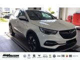 Opel Grandland X bei Sportwagen.expert - Abbildung (3 / 14)