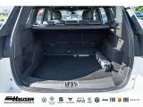 Ford Kuga bei Sportwagen.expert - Abbildung (9 / 15)