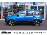 Fiat Panda bei Sportwagen.expert - Abbildung (2 / 15)