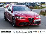 Alfa Romeo Giulia bei Sportwagen.expert - Abbildung (5 / 15) Alfa Romeo Giulia bei Sportwagen.expert - Abbildung (5 / 15)