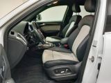 Audi SQ5 bei Sportwagen.expert - Abbildung (9 / 15)