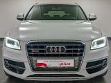 Audi SQ5 bei Sportwagen.expert - Abbildung (3 / 15)