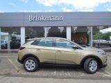 Opel Grandland X bei Sportwagen.expert - Abbildung (2 / 15)