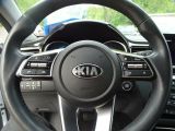 Kia XCeed bei Sportwagen.expert - Abbildung (9 / 13)