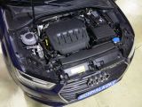 Audi A3 bei Sportwagen.expert - Abbildung (8 / 15)