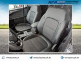 Ford Kuga bei Sportwagen.expert - Abbildung (11 / 15)