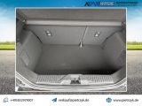 Ford Fiesta bei Sportwagen.expert - Abbildung (13 / 14)