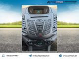 Ford EcoSport bei Sportwagen.expert - Abbildung (8 / 15)