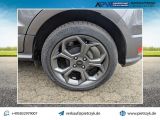 Ford EcoSport bei Sportwagen.expert - Abbildung (14 / 15)