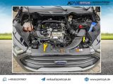 Ford EcoSport bei Sportwagen.expert - Abbildung (15 / 15)