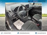 Ford EcoSport bei Sportwagen.expert - Abbildung (6 / 15)