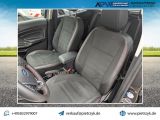 Ford EcoSport bei Sportwagen.expert - Abbildung (11 / 15)