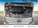 Ford Kuga bei Sportwagen.expert - Abbildung (15 / 15)