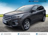 Ford Kuga bei Sportwagen.expert - Abbildung (2 / 15)