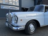 Mercedes-Benz 230 bei Sportwagen.expert - Abbildung (10 / 10)
