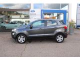 Ford EcoSport bei Sportwagen.expert - Abbildung (2 / 15)