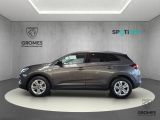 Opel Grandland X bei Sportwagen.expert - Abbildung (8 / 15)