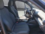 Peugeot 2008 bei Sportwagen.expert - Abbildung (13 / 15)