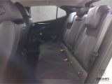 DS Automobiles DS 4 bei Sportwagen.expert - Abbildung (10 / 15)