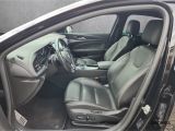 Opel Insignia bei Sportwagen.expert - Abbildung (9 / 15)