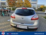 Renault Megane bei Sportwagen.expert - Abbildung (5 / 15)